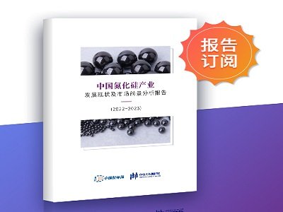 ȫ˽CõմЇa(chn)I(y)l(f)չF(xin)Јǰ棨2022~2023rt